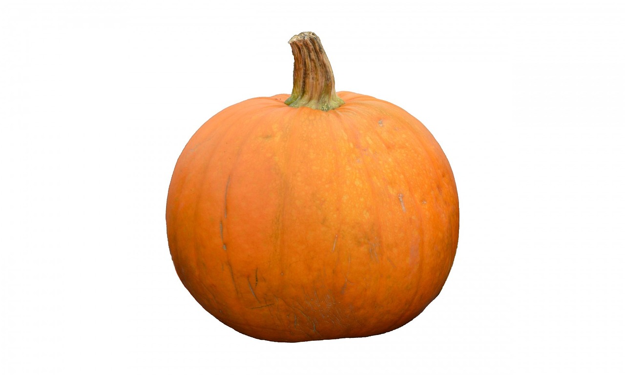 Pumpkin