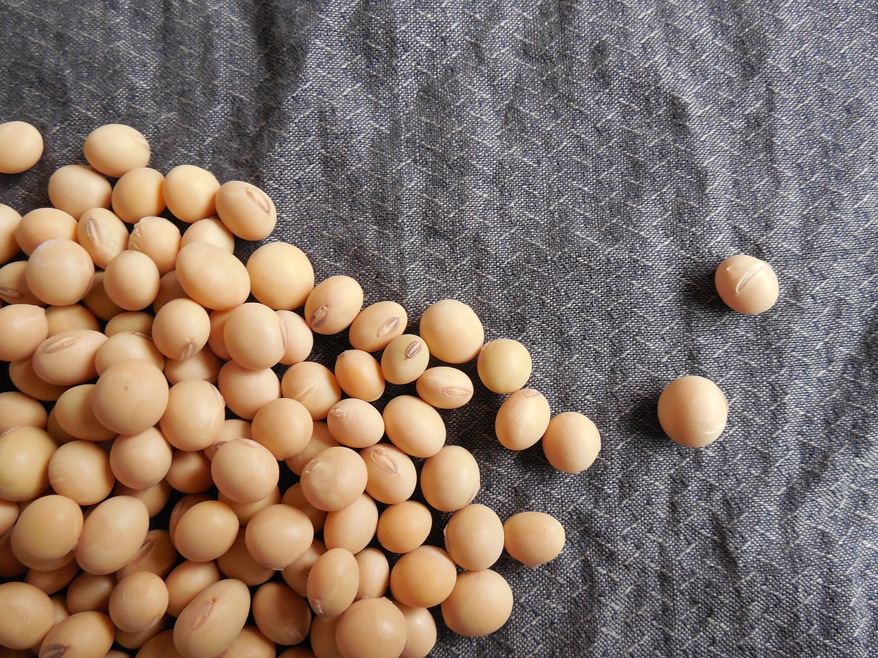 Soya Beans
