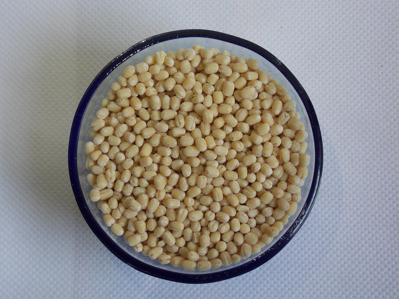 Urad Bean/Vigna Mungo